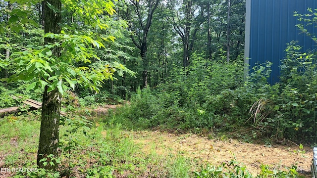 305 Rocky Creek Dr, Crossville, TN 38572 - photo 21