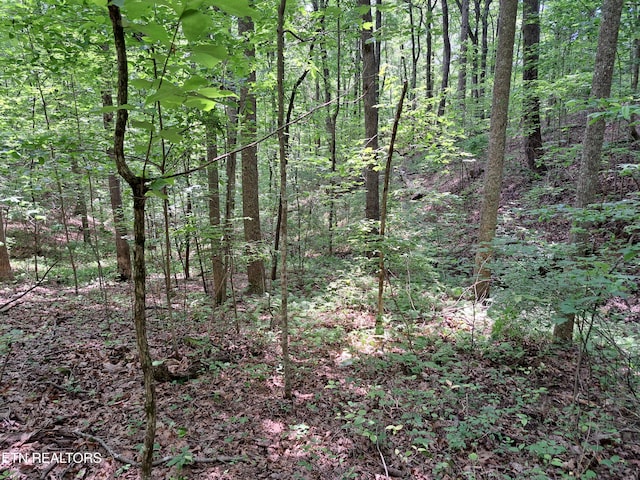 305 Rocky Creek Dr, Crossville, TN 38572 - photo 24