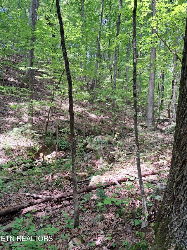305 Rocky Creek Dr, Crossville, TN 38572 - photo 23