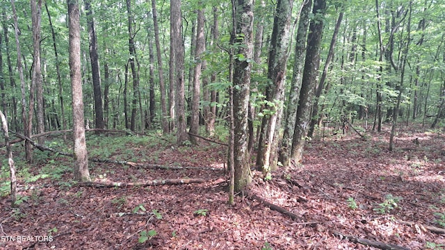 305 Rocky Creek Dr, Crossville, TN 38572 - photo 26