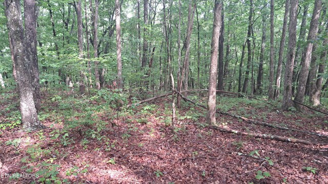 305 Rocky Creek Dr, Crossville, TN 38572 - photo 27