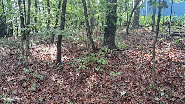 305 Rocky Creek Dr, Crossville, TN 38572 - photo 28