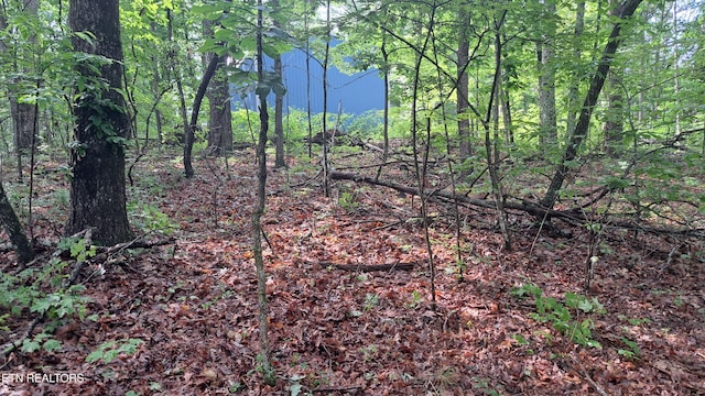305 Rocky Creek Dr, Crossville, TN 38572 - photo 29