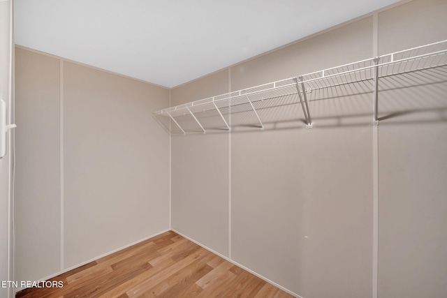 8518 Norris Ln, Knoxville, TN 37938 - photo 16