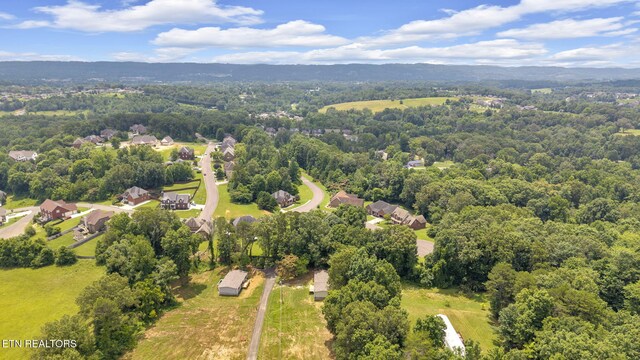 8518 Norris Ln, Knoxville, TN 37938 - photo 29
