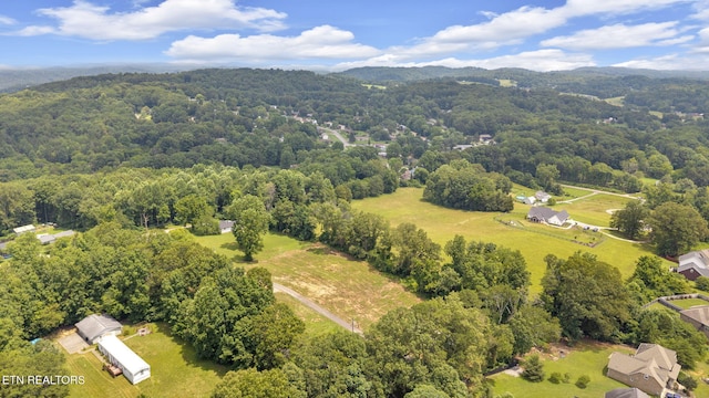 8518 Norris Ln, Knoxville, TN 37938 - photo 28