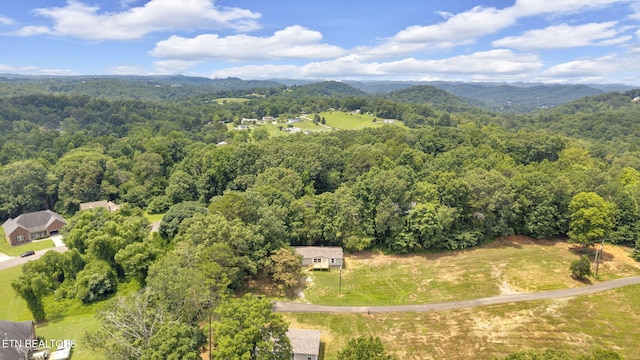 8518 Norris Ln, Knoxville, TN 37938 - photo 27