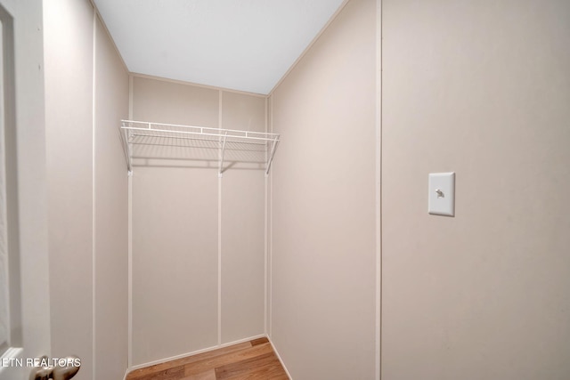 8518 Norris Ln, Knoxville, TN 37938 - photo 23