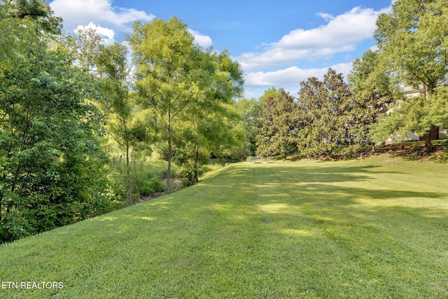 2570 NE Spring Creek Dr, Cleveland, TN 37311 - view of grassy yard