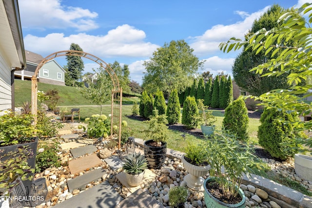 2570 NE Spring Creek Dr, Cleveland, TN 37311 - view of green lawn