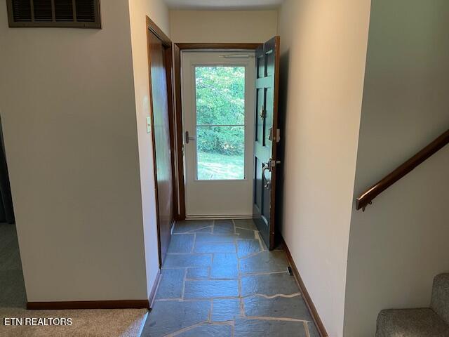 7716 Westland Dr, Knoxville, TN 37919 - photo 8