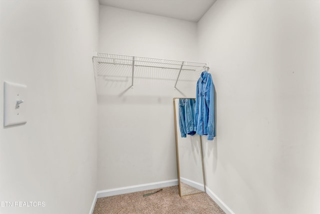5508 Garden Cress Trl, Knoxville, TN 37914 - photo 26