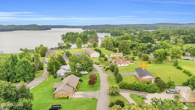 137 Scenic Hill Dr, Spring City, TN 37381 - photo 4