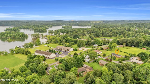 137 Scenic Hill Dr, Spring City, TN 37381 - photo 22