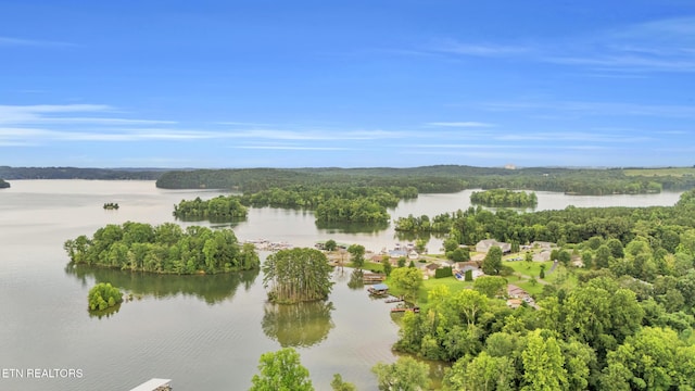 137 Scenic Hill Dr, Spring City, TN 37381 - photo 23