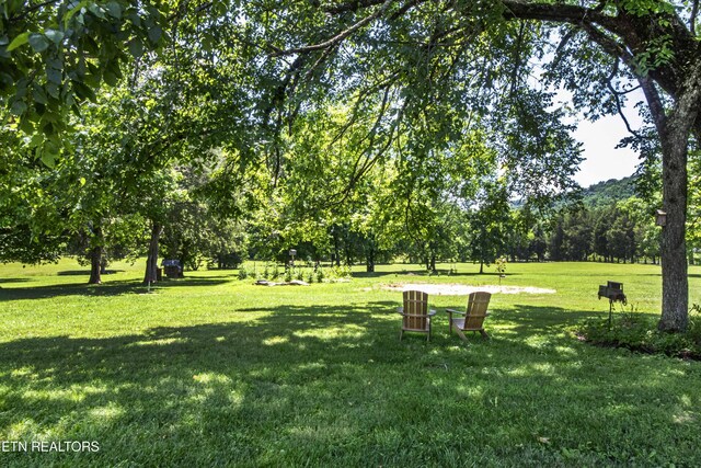 9436 Naff Rd, Heiskell, TN 37754 - surrounding community with a yard