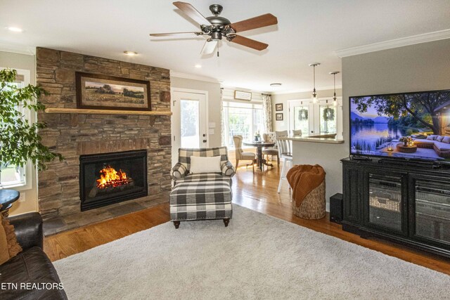 9436 Naff Rd, Heiskell, TN 37754 - living room featuring crown molding, a fireplace, wood finished floors, and a ceiling fan