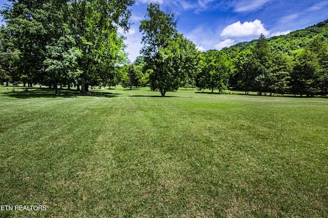 9436 Naff Rd, Heiskell, TN 37754 - view of grassy yard