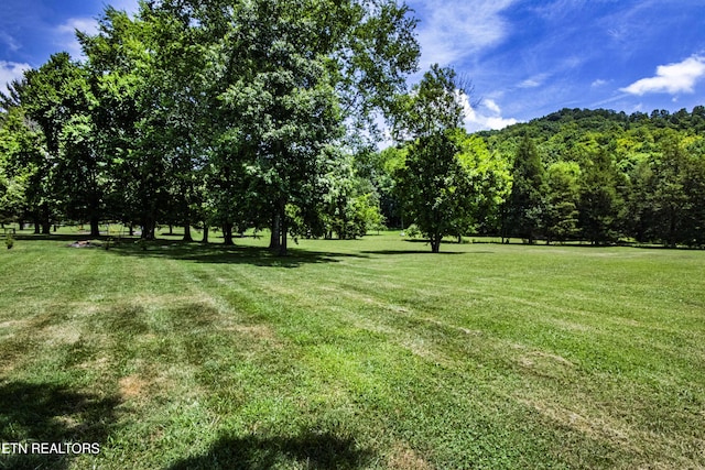 9436 Naff Rd, Heiskell, TN 37754 - view of grassy yard