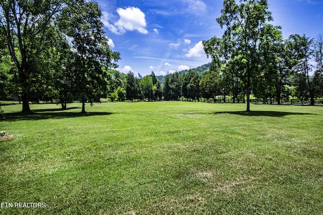 9436 Naff Rd, Heiskell, TN 37754 - view of yard