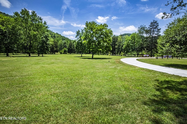 9436 Naff Rd, Heiskell, TN 37754 - surrounding community featuring a yard