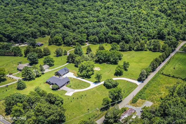 9436 Naff Rd, Heiskell, TN 37754 - drone / aerial view of a forest