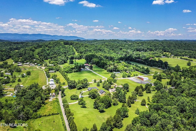 9436 Naff Rd, Heiskell, TN 37754 - bird's eye view of a heavily wooded area