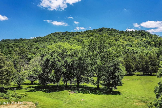 9436 Naff Rd, Heiskell, TN 37754 - view of mountain backdrop featuring a forest
