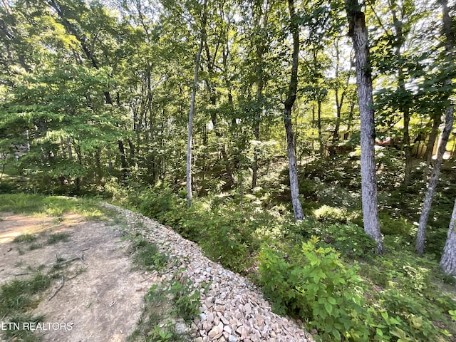 120 Bent Oak Ter, Fairfield Glade, TN 38558 - photo 39