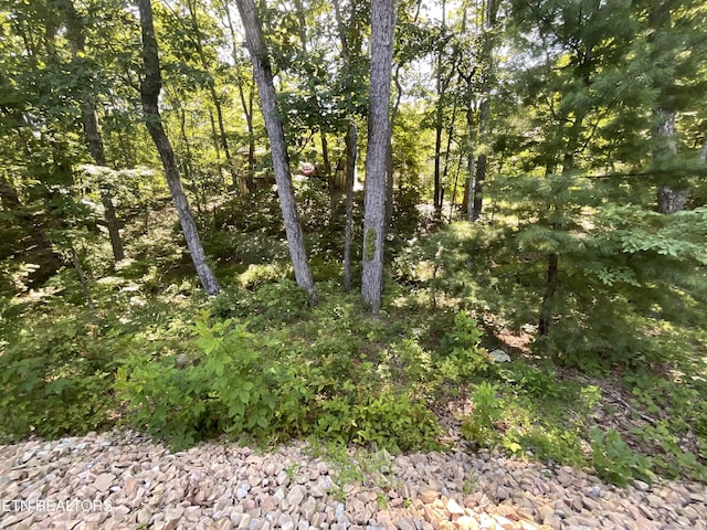 120 Bent Oak Ter, Fairfield Glade, TN 38558 - photo 40