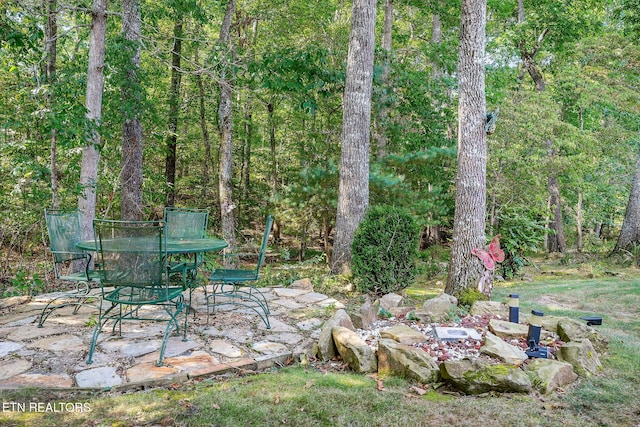 202 Lakeview Dr, Crossville, TN 38558 - photo 39
