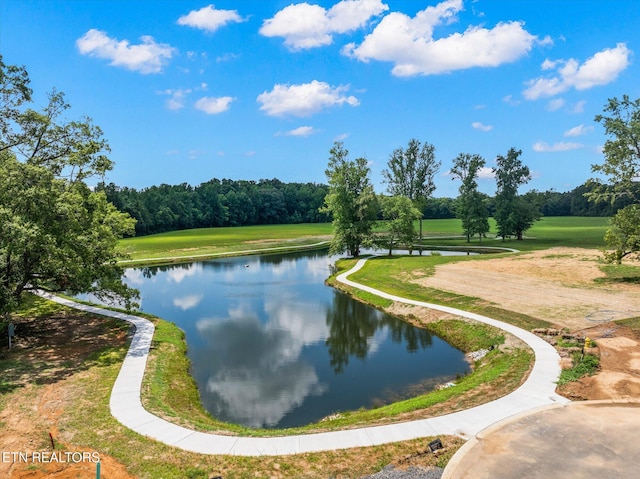 225 Lake Vw, Englewood, TN 37329 - photo 31