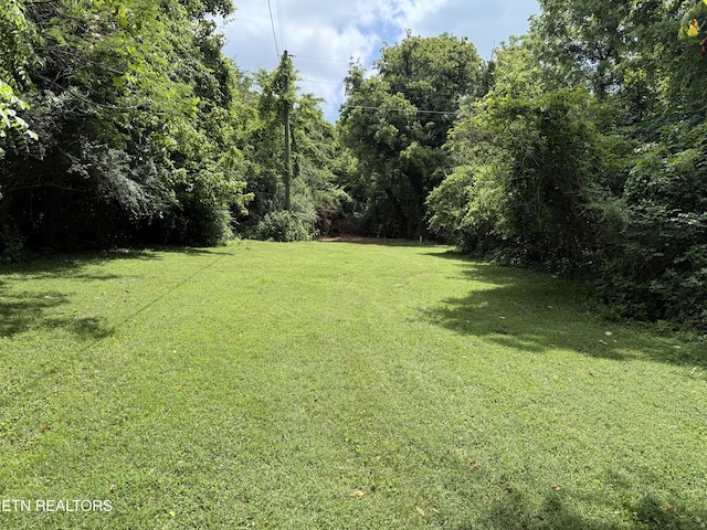 0 Bunch Ln, Clinton, TN 37716 - photo 2