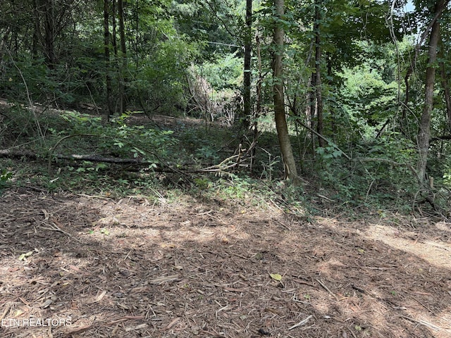 0 Bunch Ln, Clinton, TN 37716 - photo 11