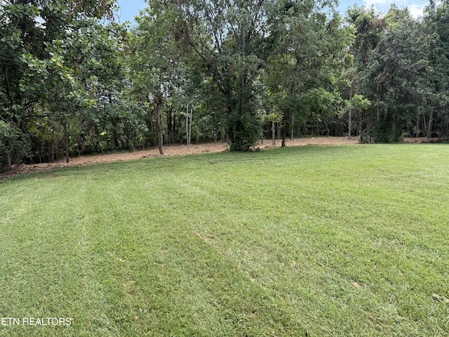 0 Bunch Ln, Clinton, TN 37716 - photo 18