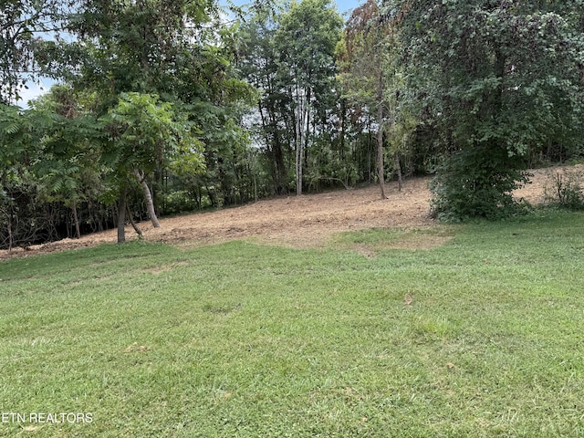 0 Bunch Ln, Clinton, TN 37716 - photo 22
