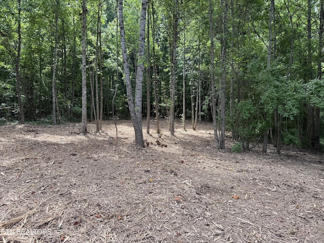 0 Bunch Ln, Clinton, TN 37716 - photo 27