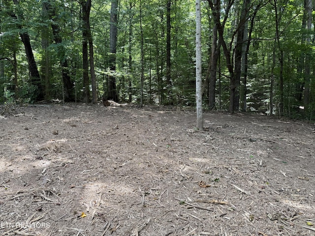 0 Bunch Ln, Clinton, TN 37716 - photo 30