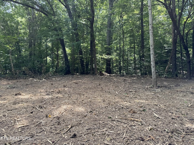 0 Bunch Ln, Clinton, TN 37716 - photo 32