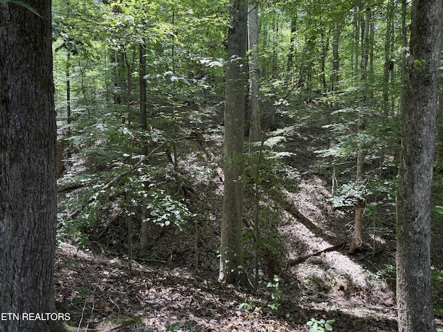 0 Bunch Ln, Clinton, TN 37716 - photo 34