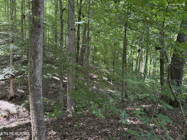 0 Bunch Ln, Clinton, TN 37716 - photo 35