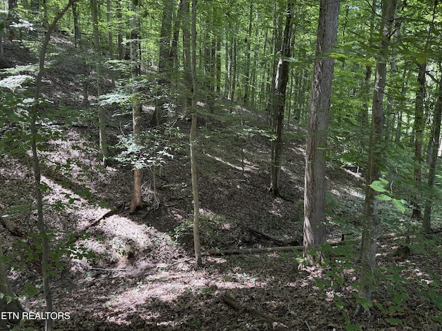 0 Bunch Ln, Clinton, TN 37716 - photo 37