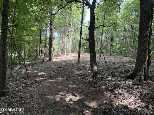 0 Bunch Ln, Clinton, TN 37716 - photo 38