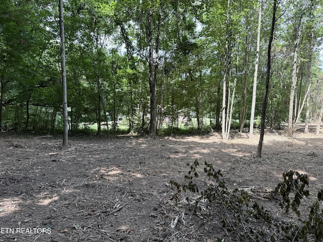 0 Bunch Ln, Clinton, TN 37716 - photo 40