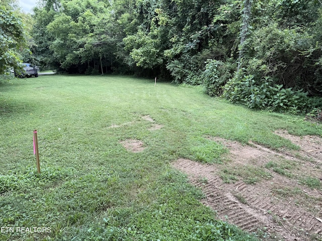0 Bunch Ln, Clinton, TN 37716 - photo 47
