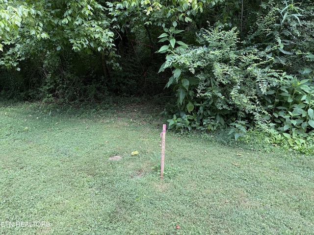 0 Bunch Ln, Clinton, TN 37716 - photo 48