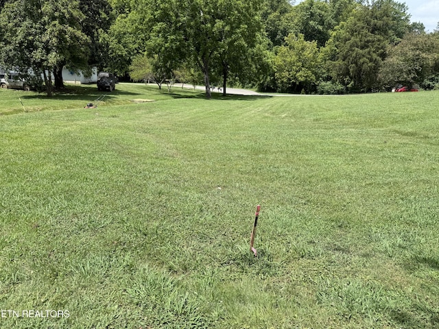 0 Bunch Ln, Clinton, TN 37716 - photo 49