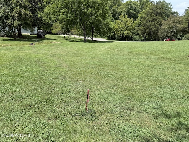 0 Bunch Ln, Clinton, TN 37716 - photo 50