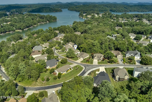 174 Depew Dr, Loudon, TN 37774 - photo 49