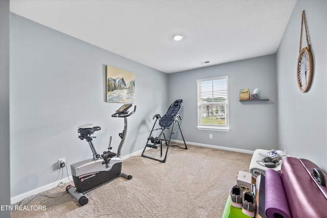 7 Chestnut Ct, Clinton, TN 37716 - photo 21